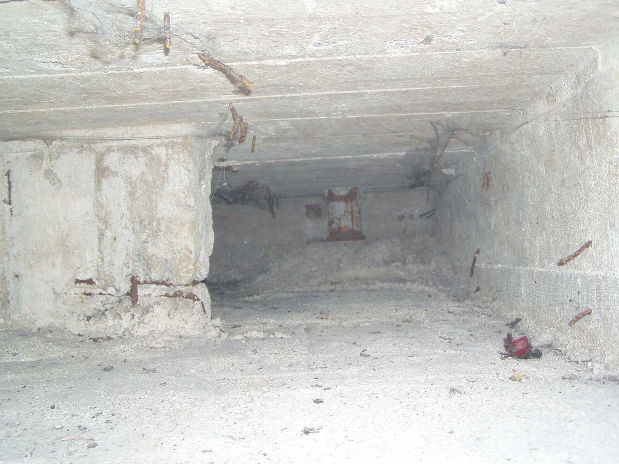 a)5.4.2008.JPG