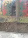 DSC04602