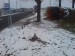 DSC04644